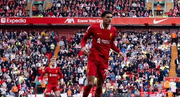 疯狂！视频回顾哈兰德独造7球，世欧预自1977年首个五子登科_疯狂！视频回顾哈兰德独造7球，世欧预自1977年首个五子登科_